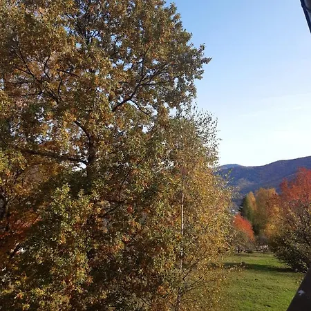 у марічки בית הארחה