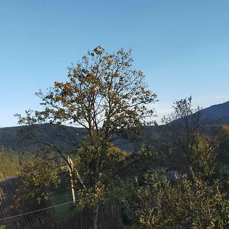 у марічки בית הארחה *