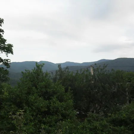 у марічки בית הארחה *