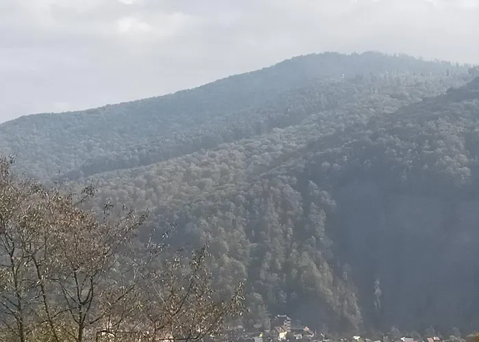 у марічки Гостевой дом Яремча
